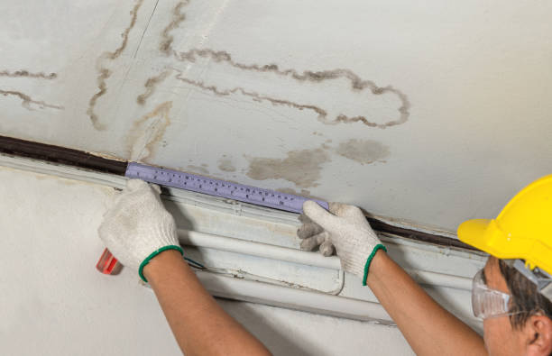 Reliable Burst Pipe Cleanup contractor in Greenville, KY by Water Damage Irwin